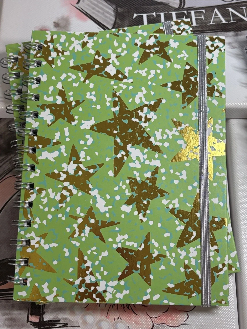 4 Spiral Hardcover Notebook Carnets - Assorted Green & Multicolor Dinosaur Cover